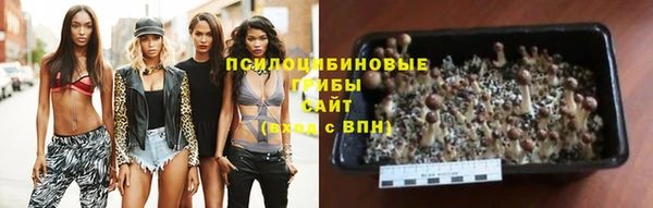 прущие грибы Гусь-Хрустальный