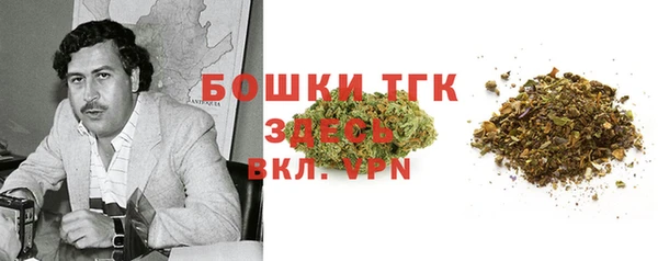 прущие грибы Гусь-Хрустальный