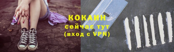 прущие грибы Гусь-Хрустальный