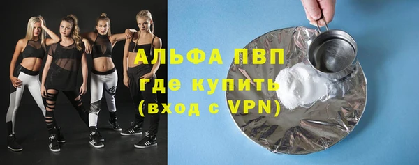 дмт Гусев