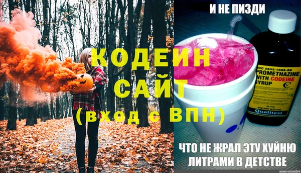 дмт Гусев