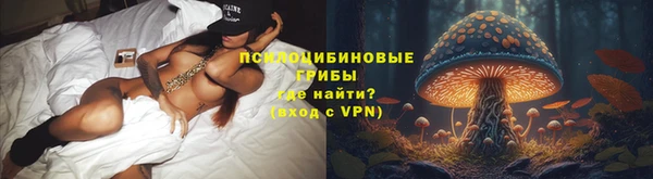 дмт Гусев