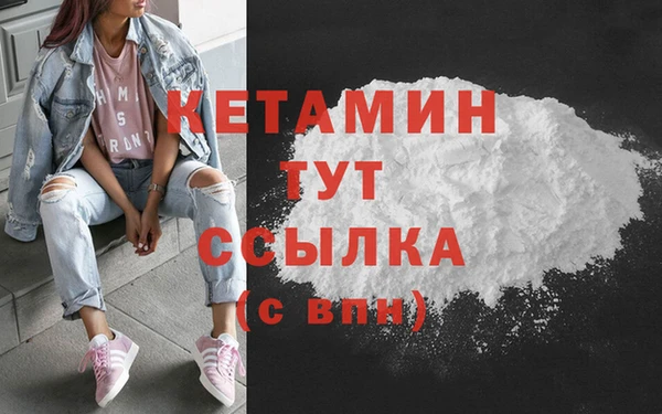 прущие грибы Гусь-Хрустальный