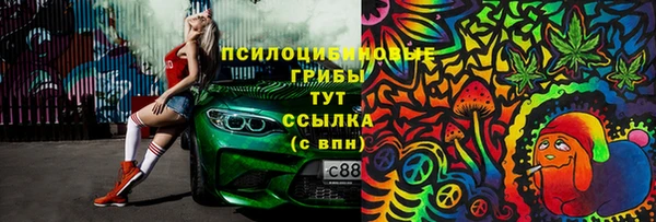дмт Гусев