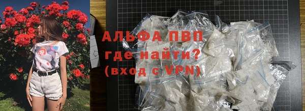 прущие грибы Гусь-Хрустальный
