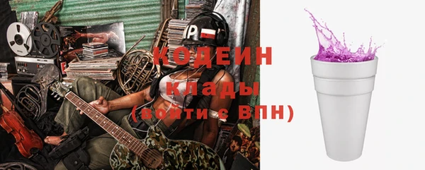 прущие грибы Гусь-Хрустальный