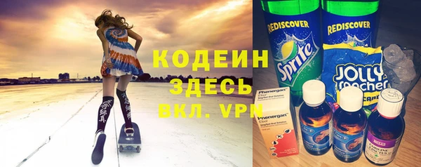 дмт Гусев
