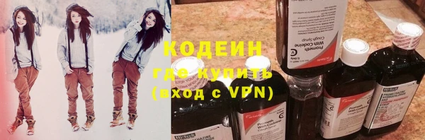 дмт Гусев