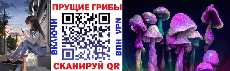 Псилоцибиновые грибы Cubensis  купить закладку  Холмск 